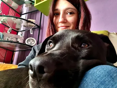 Łapa Zwierzaku! - behawiorysta, trener, dom tymczasowy, certyfikowany opiekun